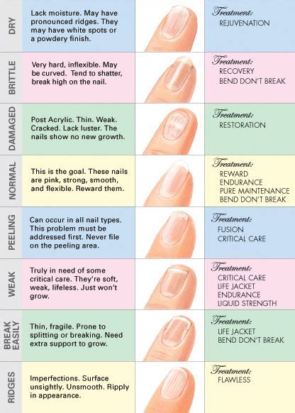 measurement thickness of fingernail|how do toenails grow diagram.